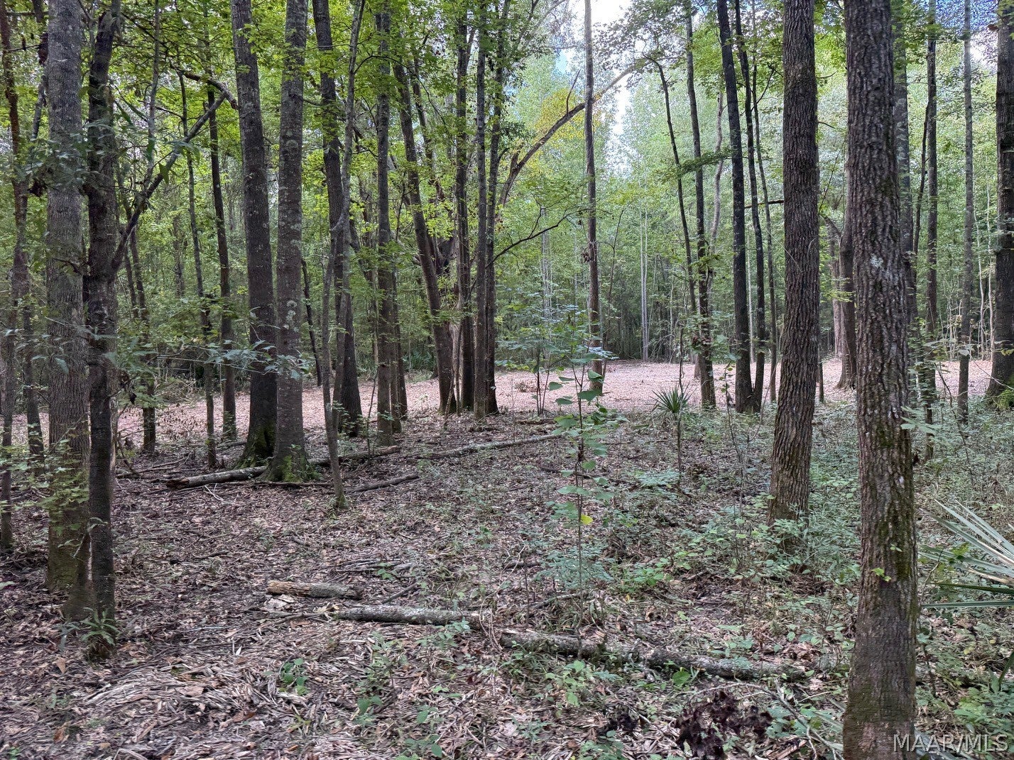 0 County Road 4 Road Fitzpatrick, AL 36029 - Photo 26 of 28 Gallery Image 26