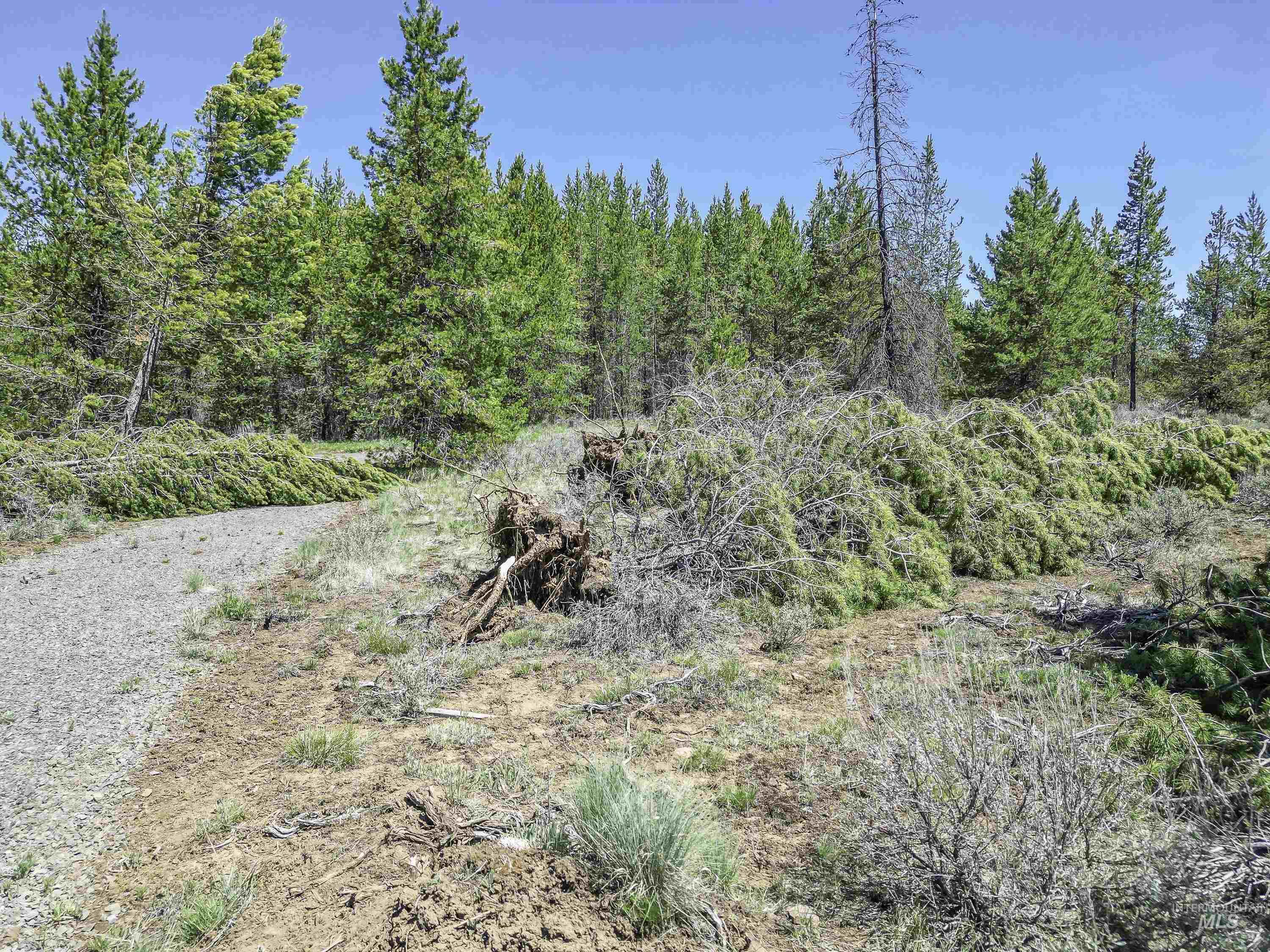 Tbd Deer Creek Road Winchester, ID 83555 - Photo 13 of 39