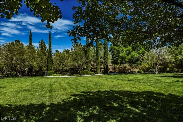 $2,535 | 764 La Tosca Street, Las Vegas, NV 89138