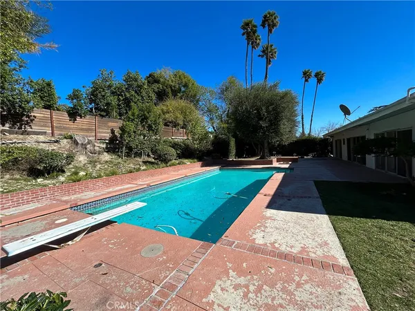 a view of a yard with plants