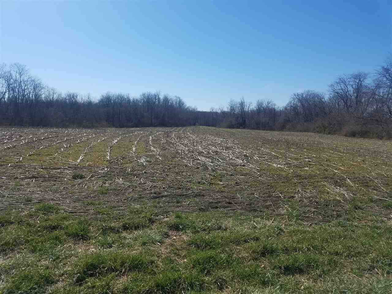 521 Violet Road Crittenden, KY 41030 - Photo 2 of 4 Gallery Image 2