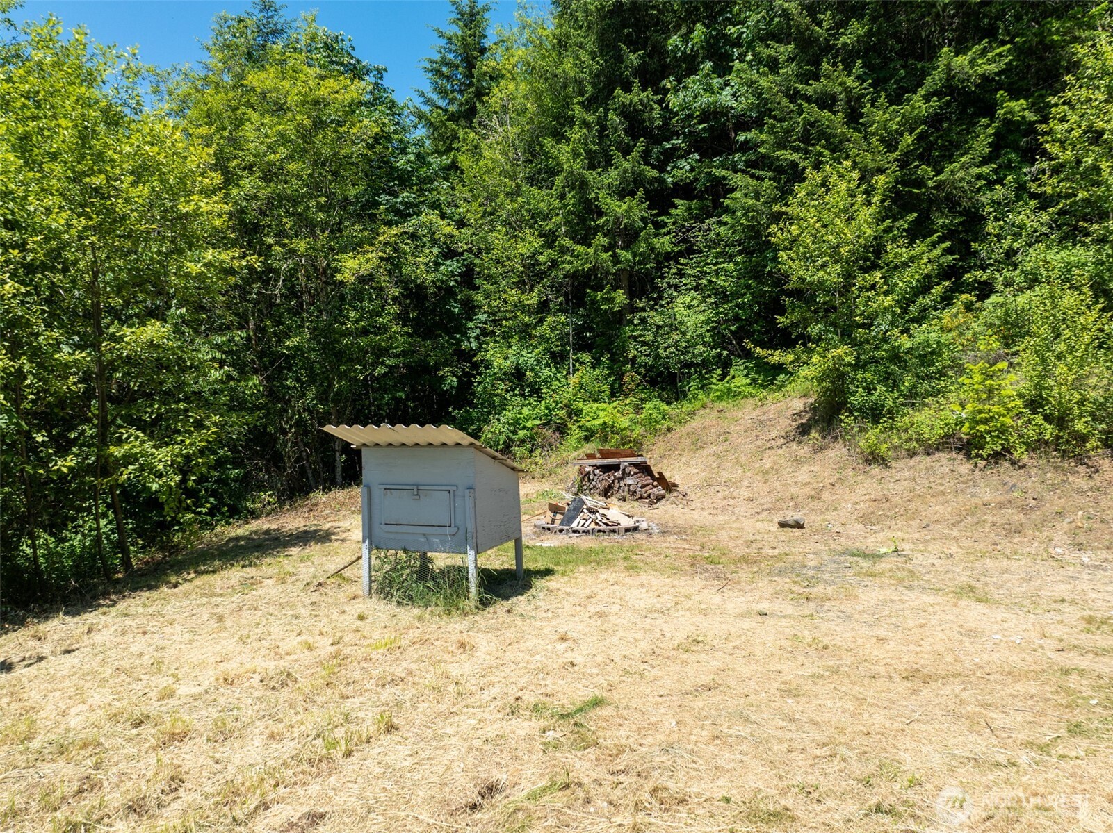 5530 Lewis River Road Ariel, WA 98603 - Photo 9 of 38 Gallery Image 9