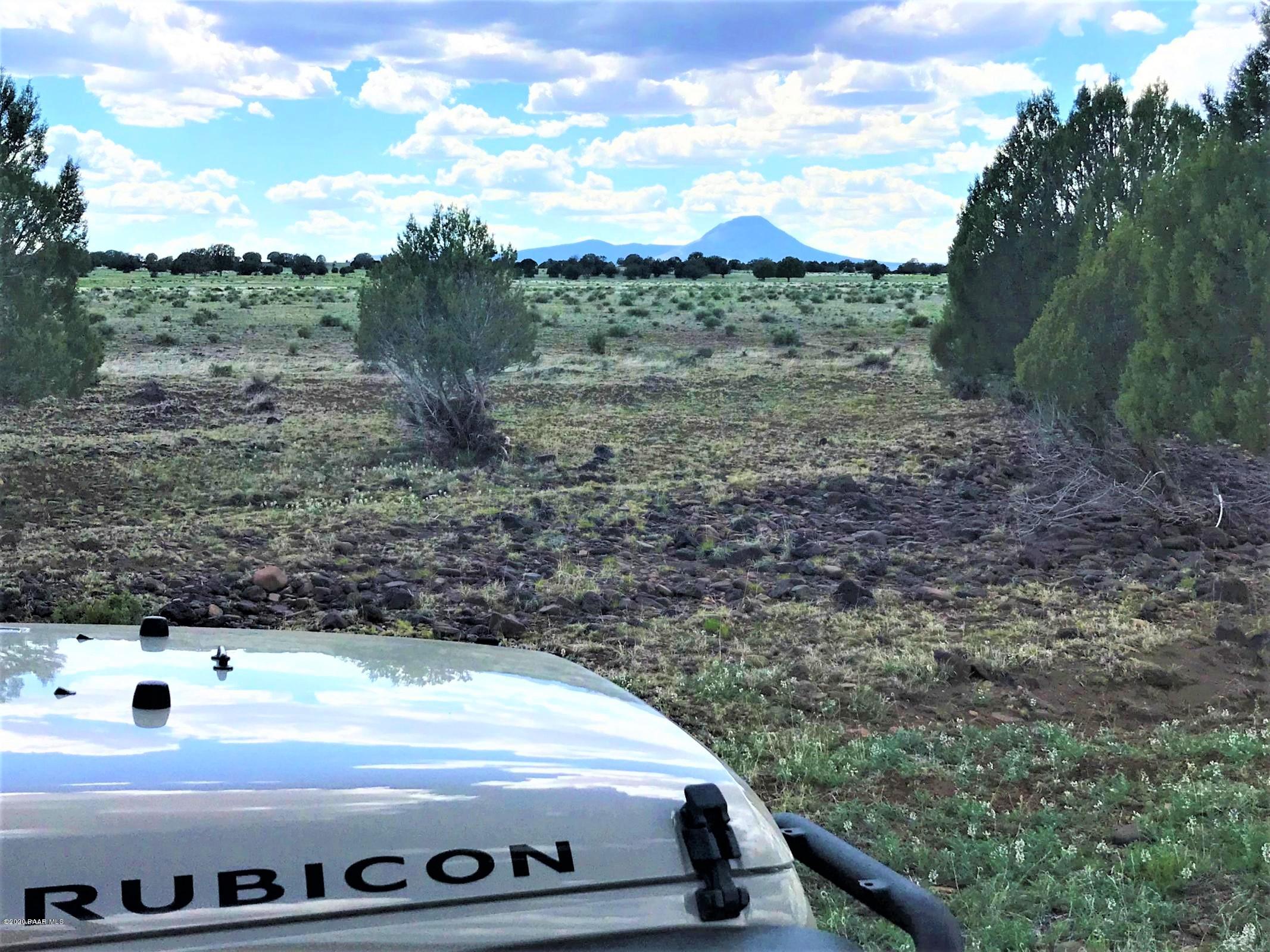 228 Antelope Run Road Ash Fork, AZ 86320 - Photo 3 of 9 20190515175802971917000000-o