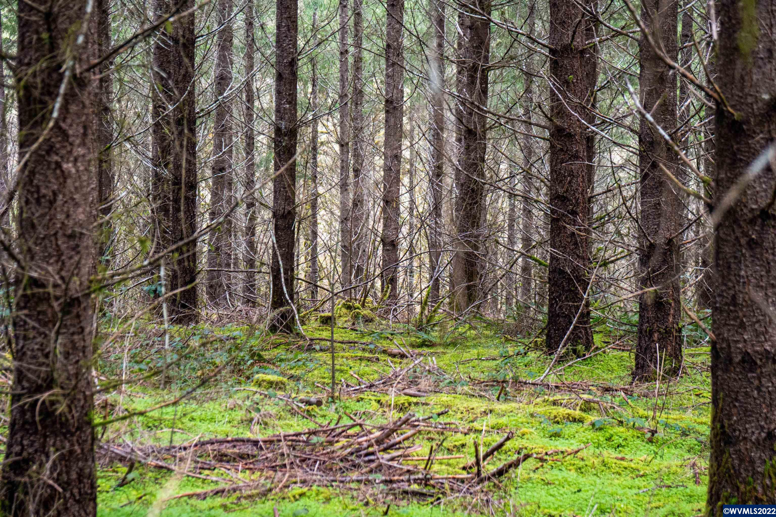 Na Foster Road Monroe, OR 97456 - Photo 11 of 32 Gallery Image 11
