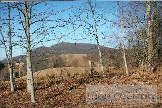 Off Junaluska Road Vilas, NC 28692 - Photo 1 of 1 Gallery Image 1