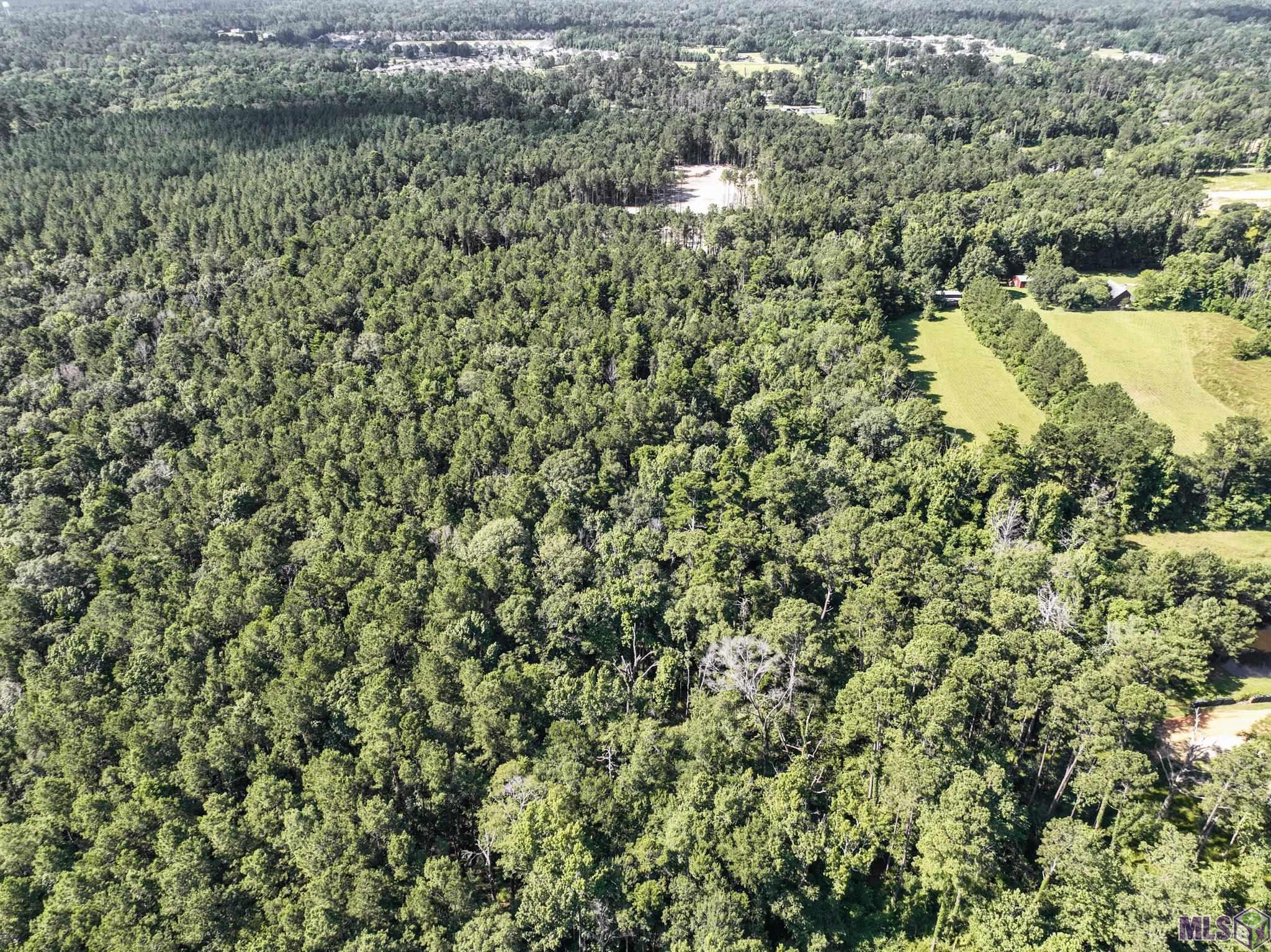 34766 Clinton Allen Road Denham Springs, LA 70706 - Photo 11 of 12