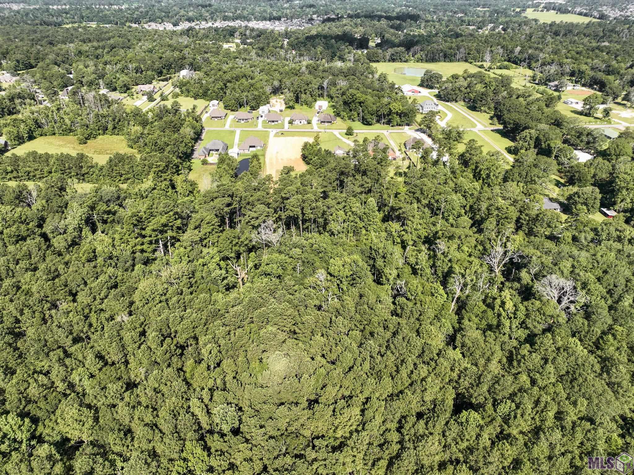 34766 Clinton Allen Road Denham Springs, LA 70706 - Photo 7 of 12