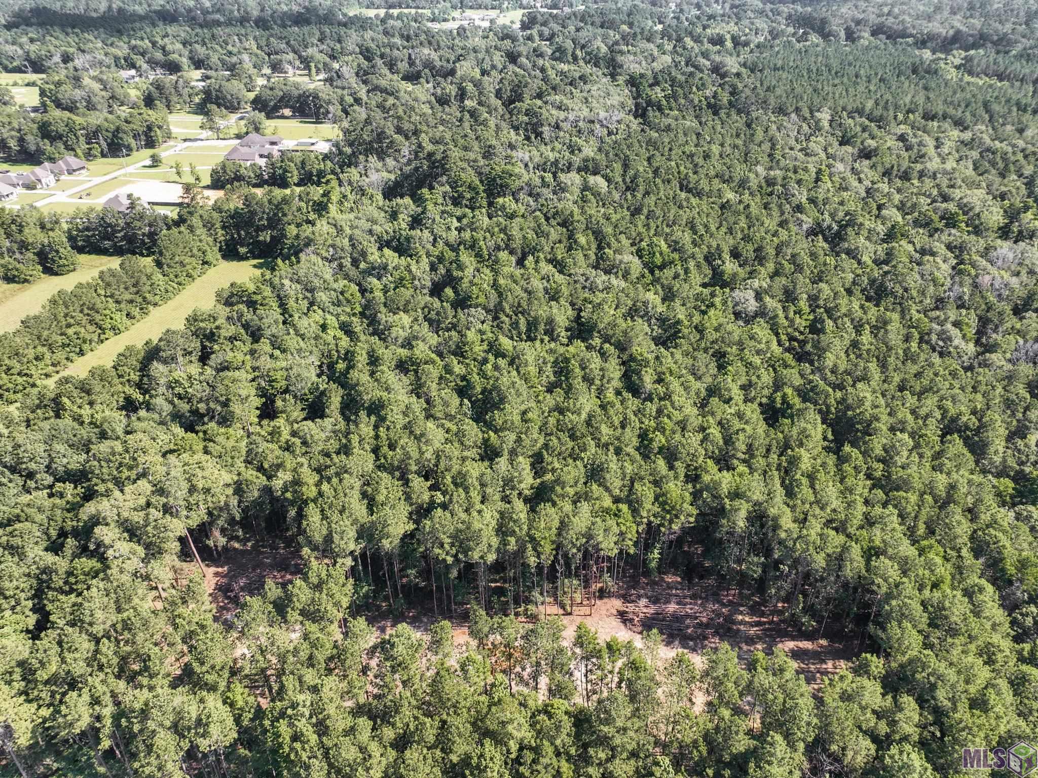 34766 Clinton Allen Road Denham Springs, LA 70706 - Photo 10 of 12