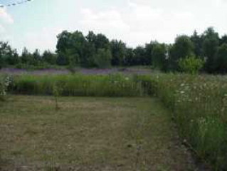 2.32 Acres Weaver Road Montgomery, MI 49255 - Photo 1 of 1 Primary Photo