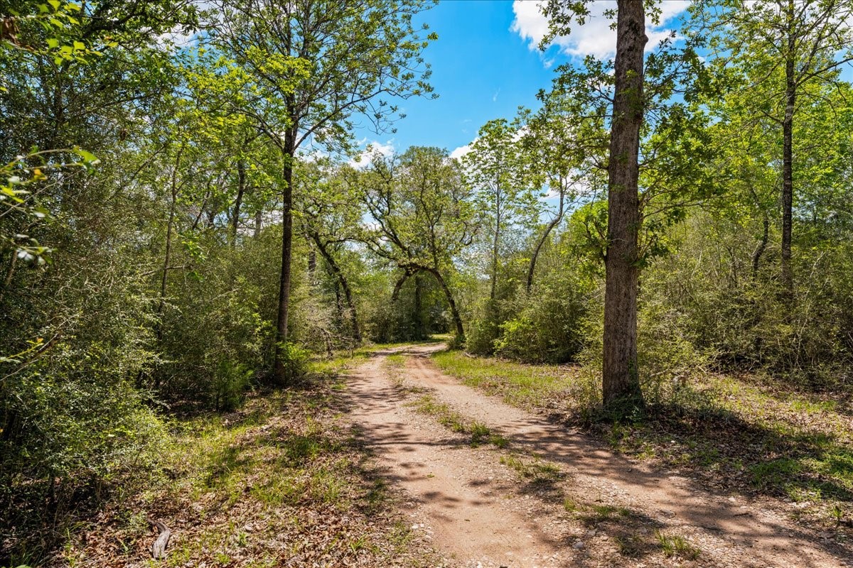 2516 Klimer Road Fayetteville, TX 78940 - Photo 6 of 20 Gallery Image 6