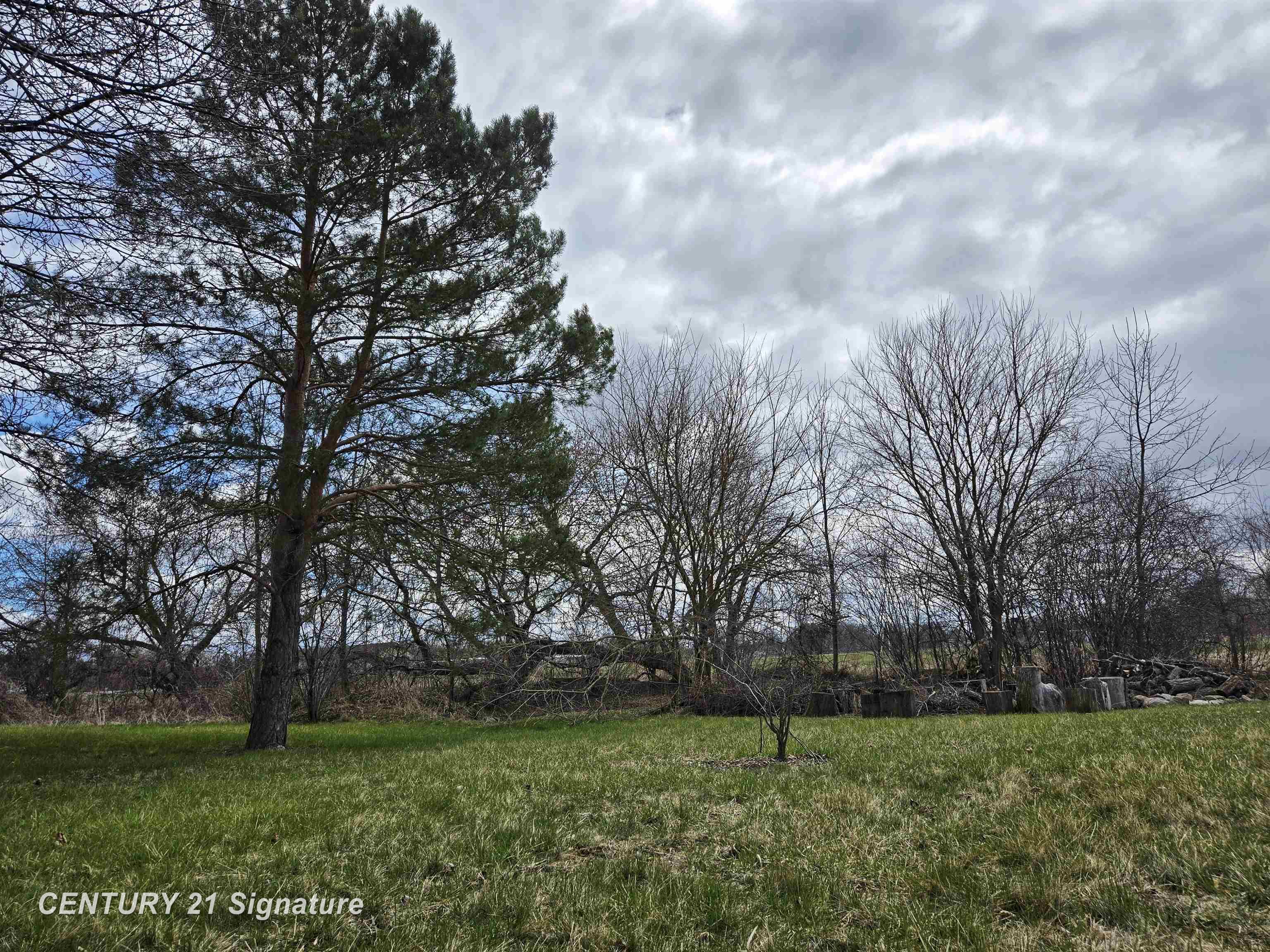 2312 King Road Saginaw, MI 48601 - Photo 4 of 13 Gallery Image 4