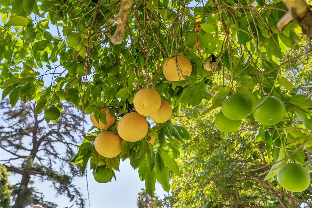 545 Spencer Street Glendale, CA 91202 - Photo 21 of 21 a bathroom with a sink and mirror