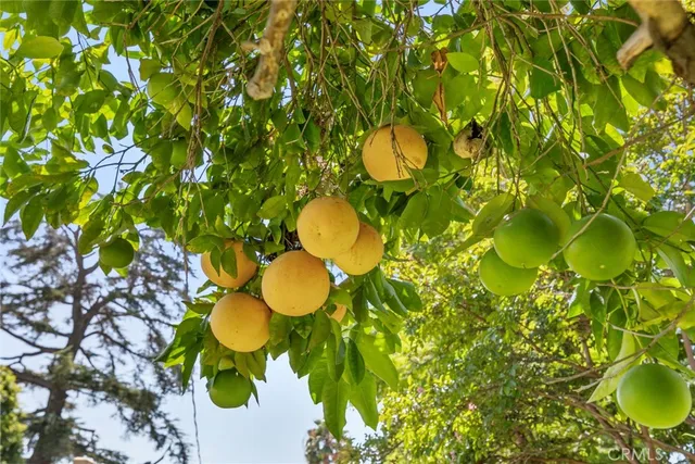 $1,399,000 | 545 Spencer Street, Glendale, CA 91202