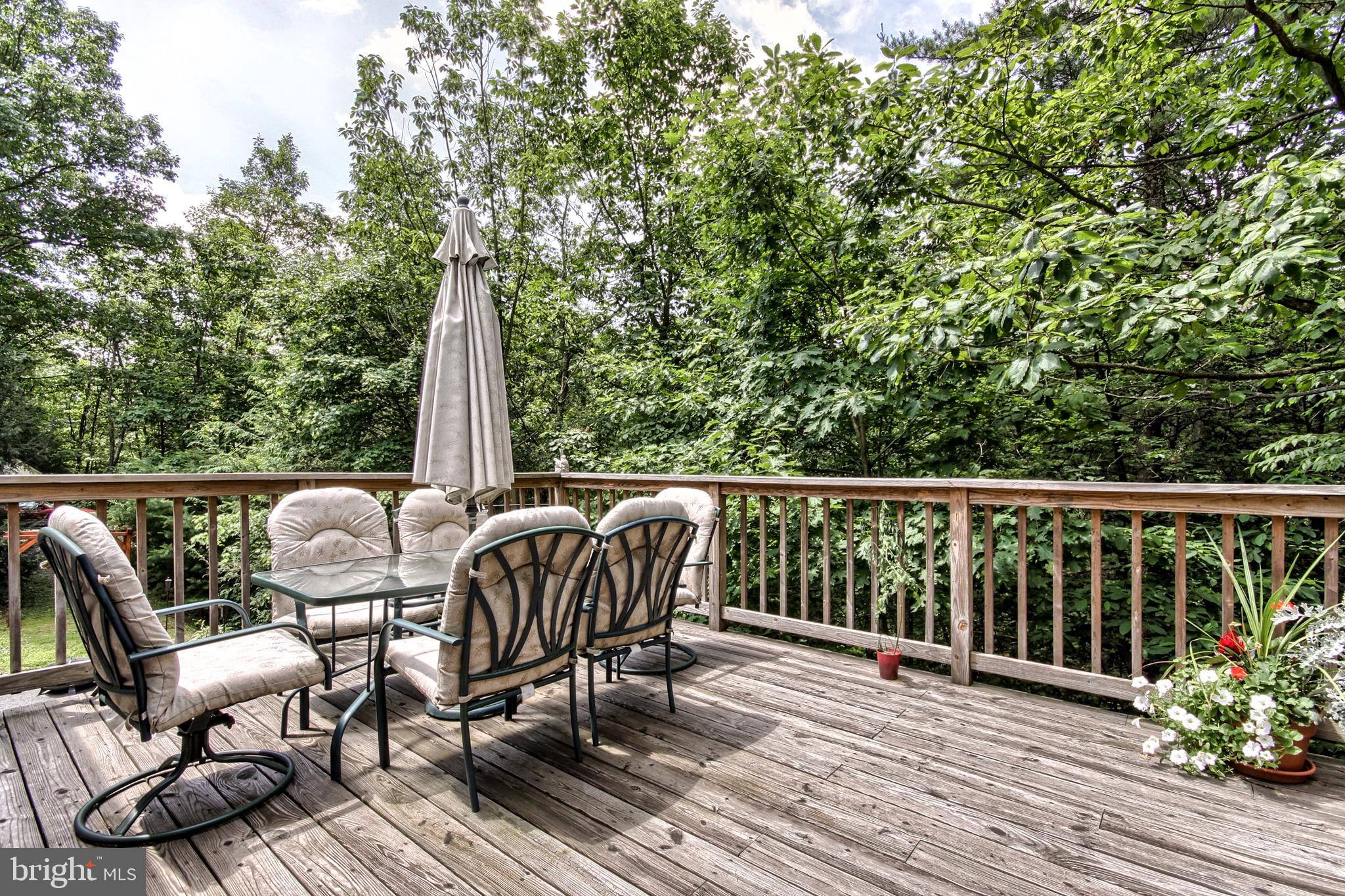 672 Peach Ridge Road Elliottsburg, PA 17024 - Photo 6 of 46 Gallery Image 6
