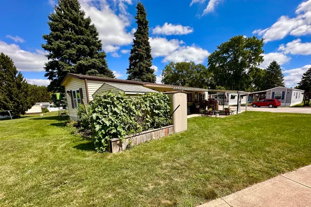 a view of a garden with plants