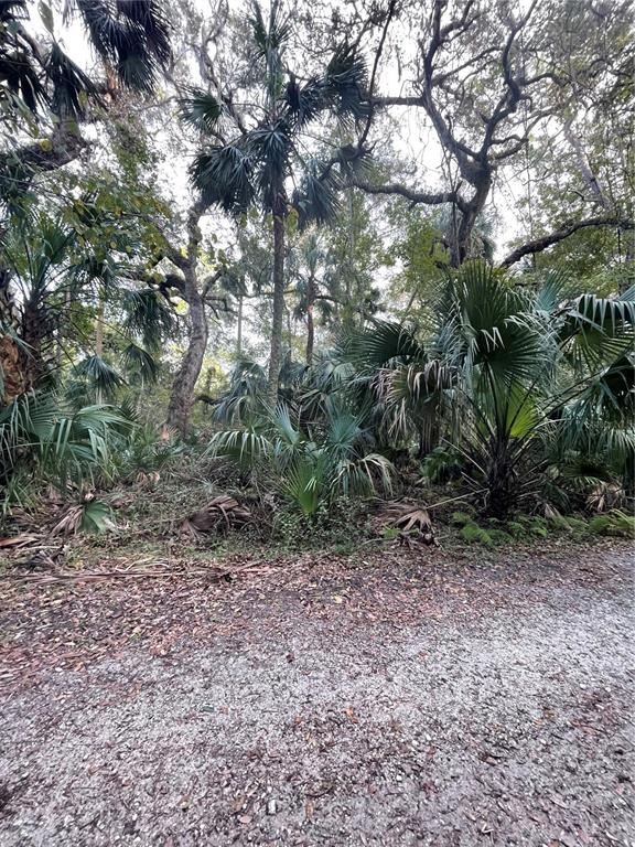 Tall Palm Fish Camp Road DeLand, FL 32720 - Photo 12 of 12 Gallery Image 12