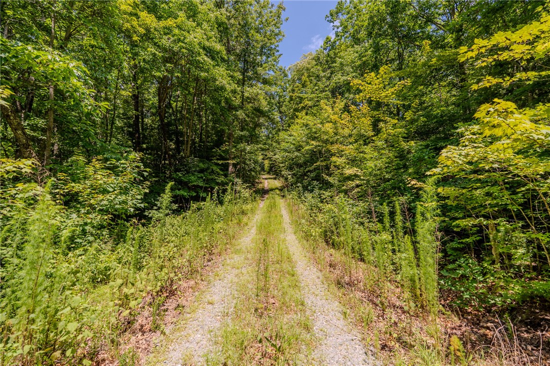 126-130 Old Springfield Road Cleveland, SC 29635 - Photo 8 of 25