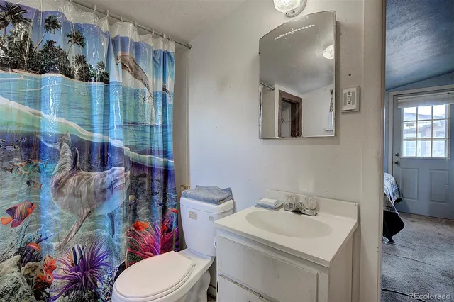 a bathroom with a sink mirror vanity and toilet