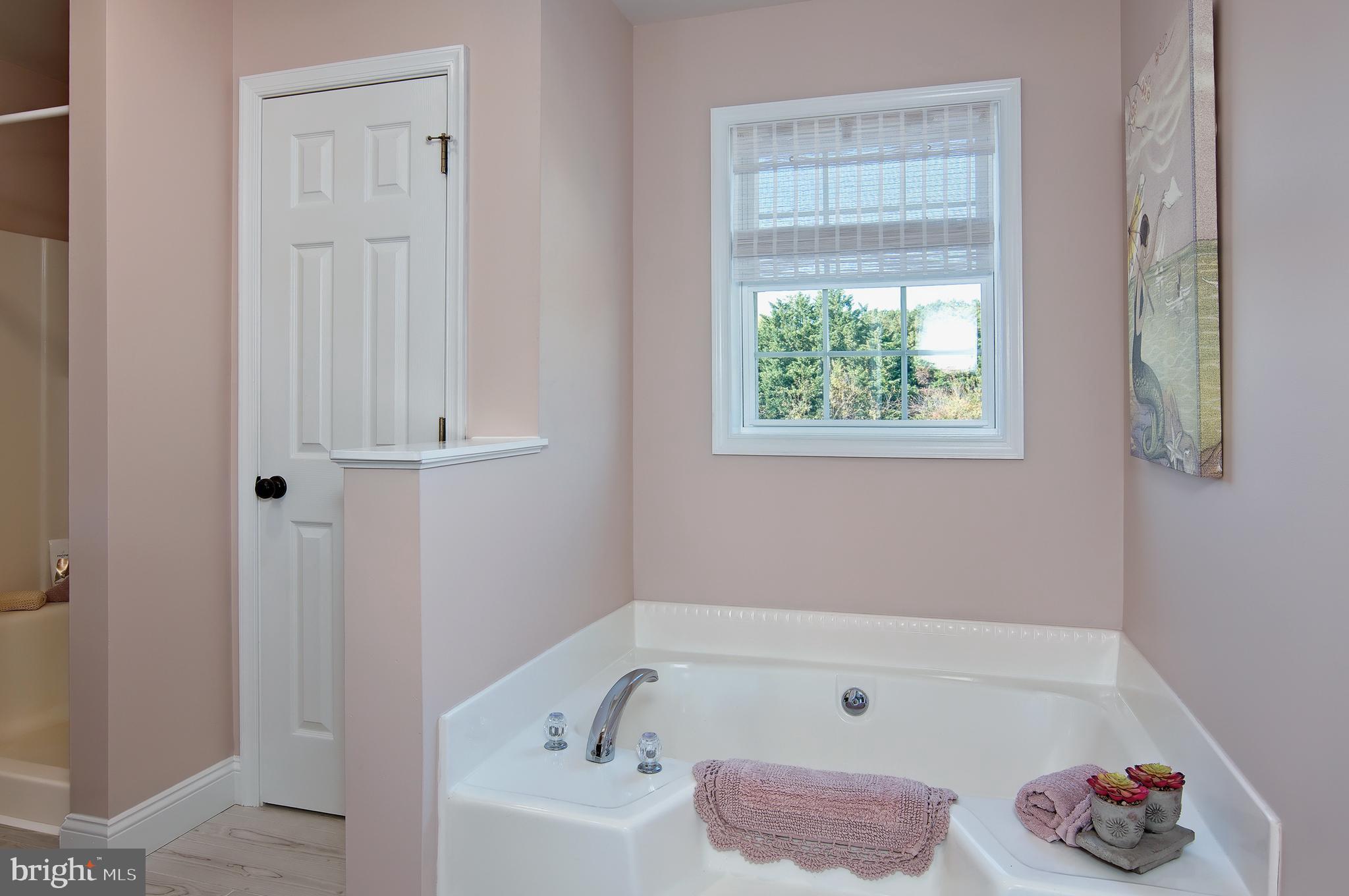 6660 Reeses Pride Road Sherwood, MD 21665 - Photo 47 of 72 a bathroom with a bathtub a shower and a window