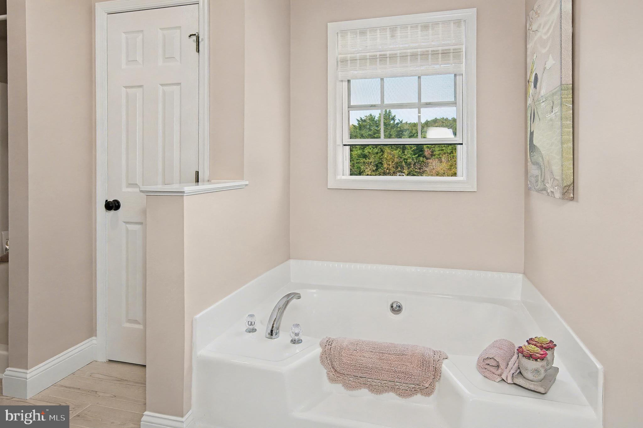 6660 Reeses Pride Road Sherwood, MD 21665 - Photo 48 of 72 a bathroom with bathtub and window