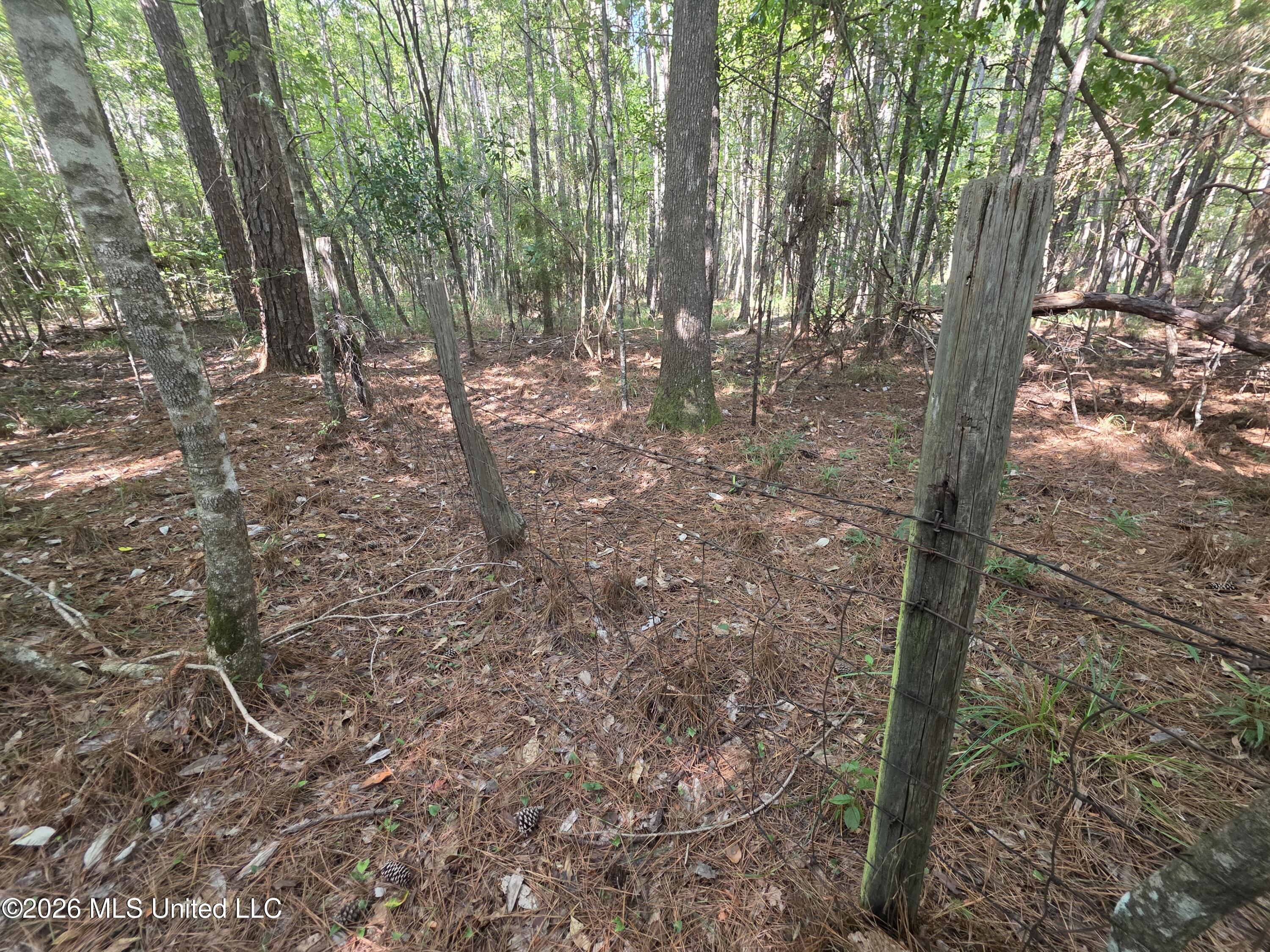 St Paul Road Sandy Hook, MS 39478 - Photo 14 of 16 40389