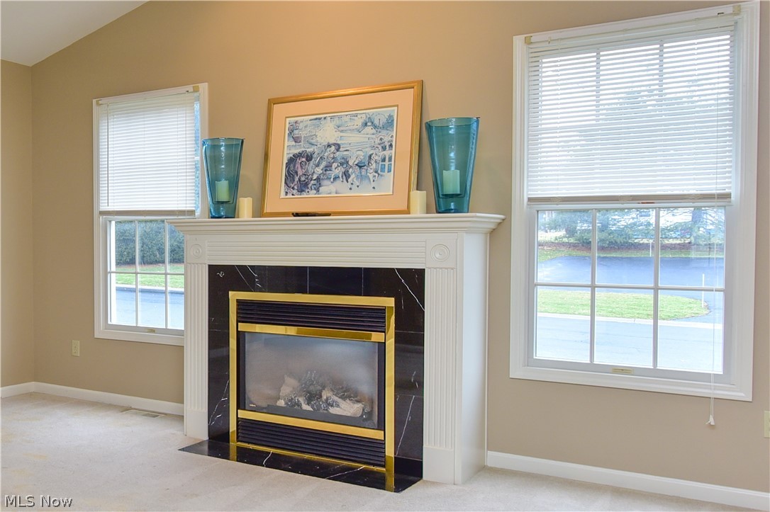 603 South Raccoon Road, Unit 5 Youngstown, OH 44515 - Photo 6 of 18 Gallery Image 6