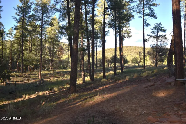a view of a street with trees