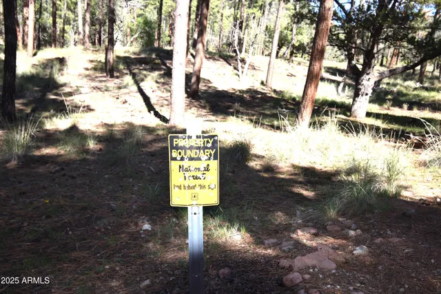 a dining room with furniture a chandelier and wooden floor