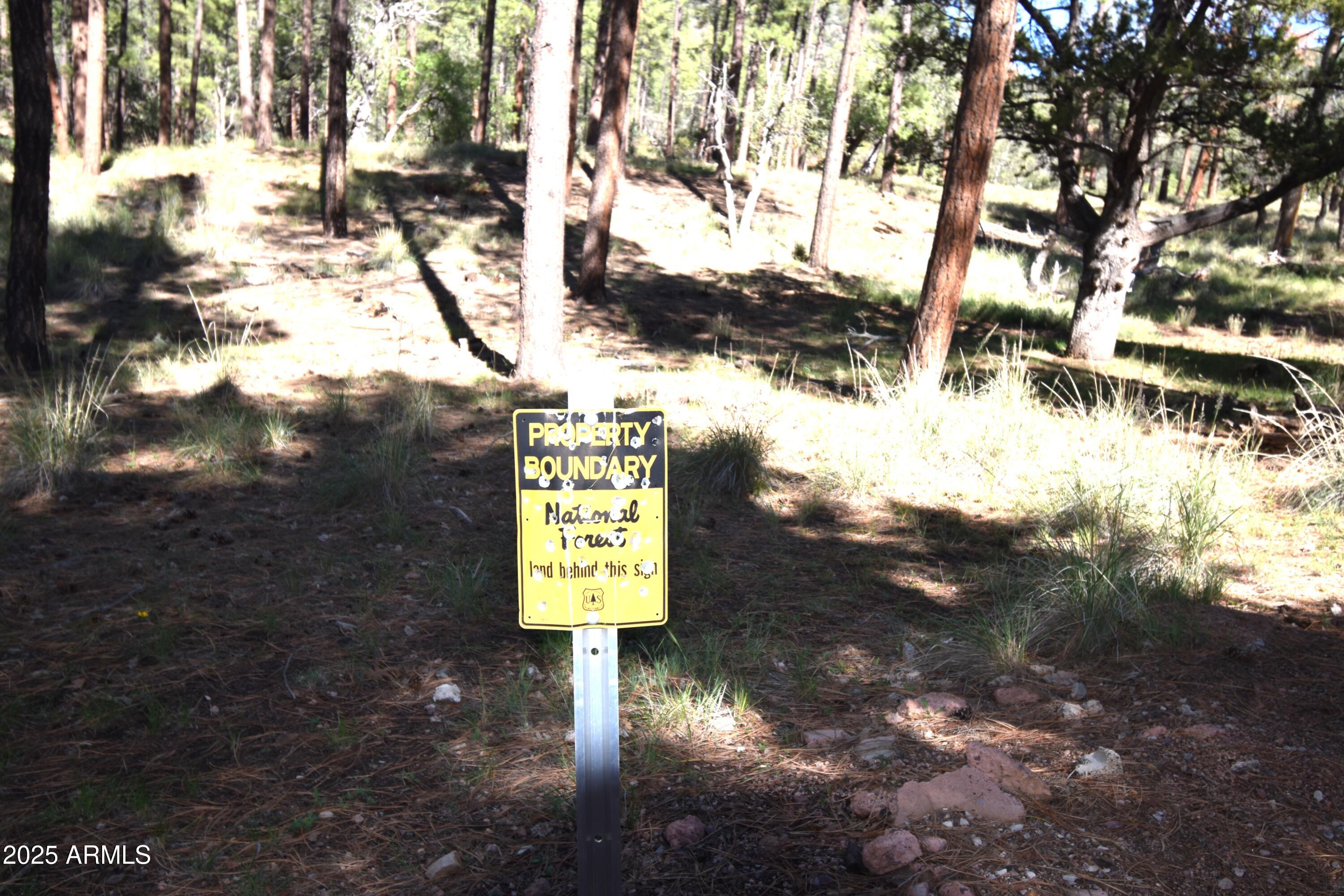 8742 Tonto Rim Drive Pine, AZ 85544 - Photo 10 of 41 a view of a street with trees