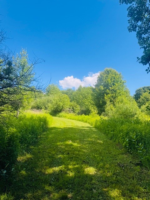 31 Myslivecek Road Lowman, NY 14861 - Photo 41 of 50
