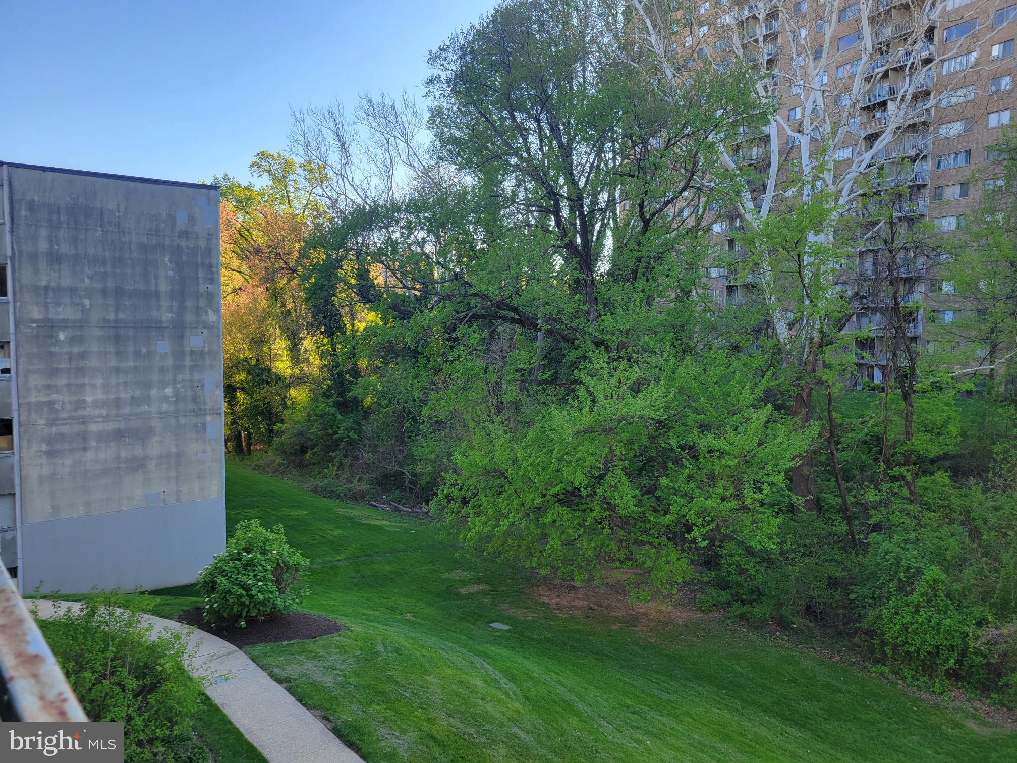 1830 Metzerott Road, Unit 103 Hyattsville, MD 20783 - Photo 29 of 41 a view of a yard with plants and large trees