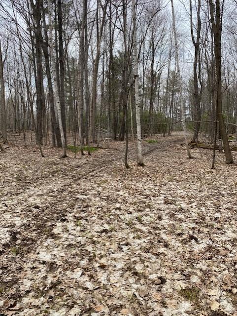 0 Lake Drive Shell Lake, WI 54871 - Photo 1 of 1 Gallery Image 1
