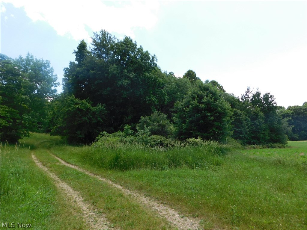 Luli Road Mogadore, OH 44260 - Photo 13 of 14