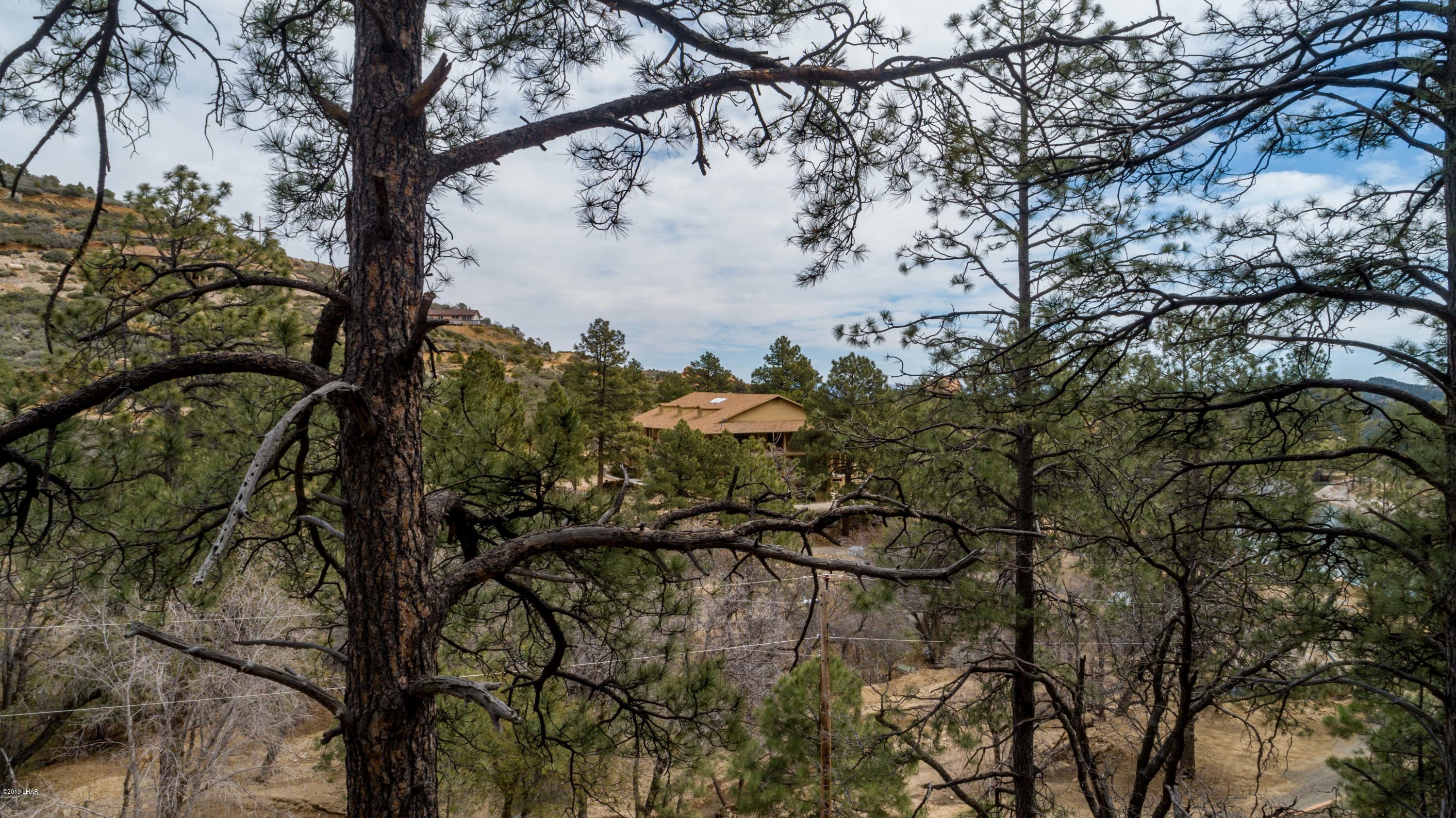4690 South Hansen Road Kingman, AZ 86401 - Photo 83 of 94 Revised Images-60