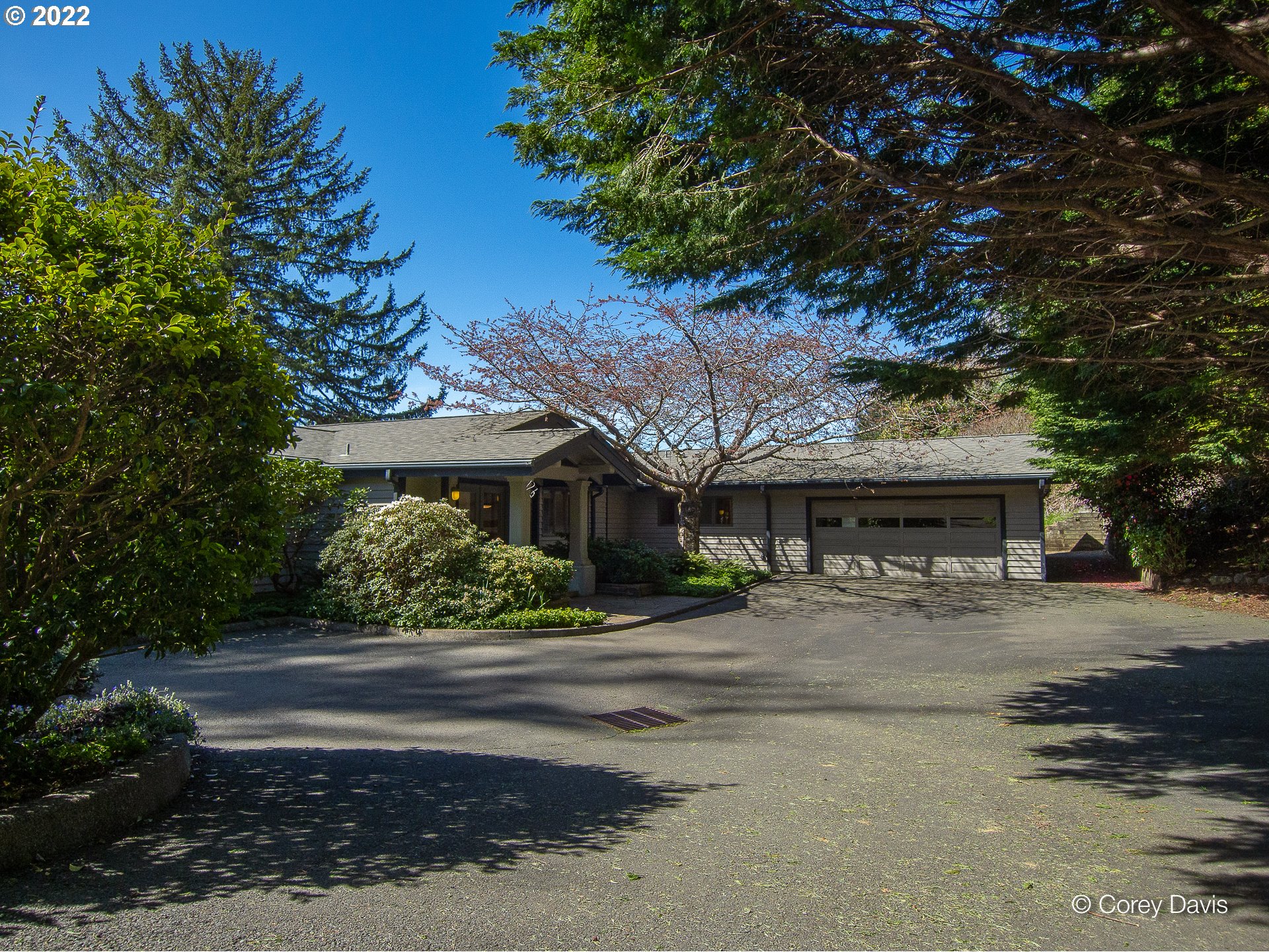 38500 Beulah Reed Road Nehalem, OR 97131 - Photo 3 of 30 a yellow house with trees in front of it