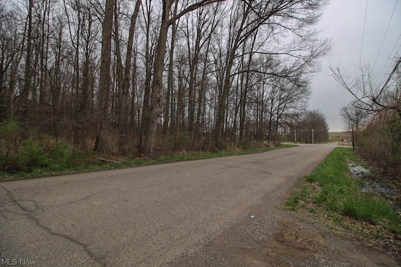 22447 West South Range Road Alliance, OH 44601 - Photo 14 of 15 Gallery Image 14
