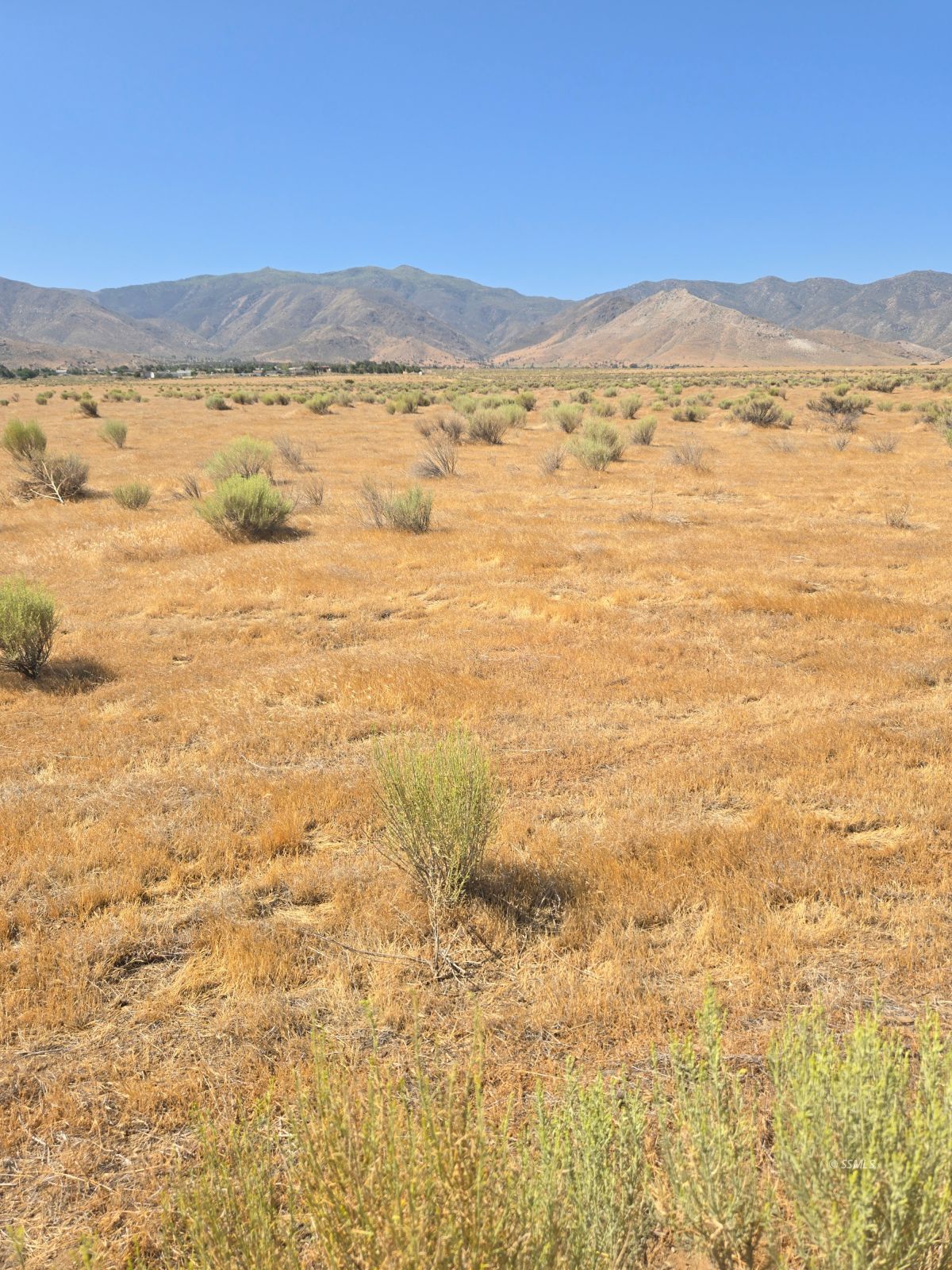 426-390-09 Lakeview Road Weldon, CA 93283 - Photo 4 of 7