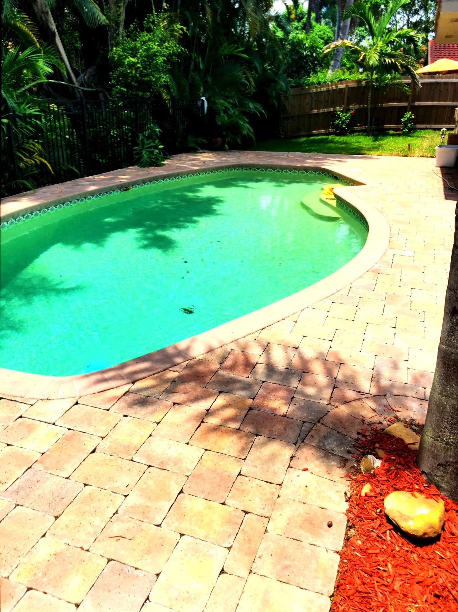 7220 Northwest 4th Avenue Boca Raton, FL 33487 - Photo 4 of 24 ab BROWN FULL POOL1