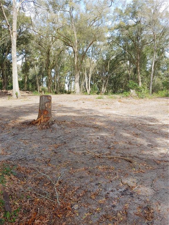 11644 Bessie Dix Road Seffner, FL 33584 - Photo 1 of 1 Gallery Image 1