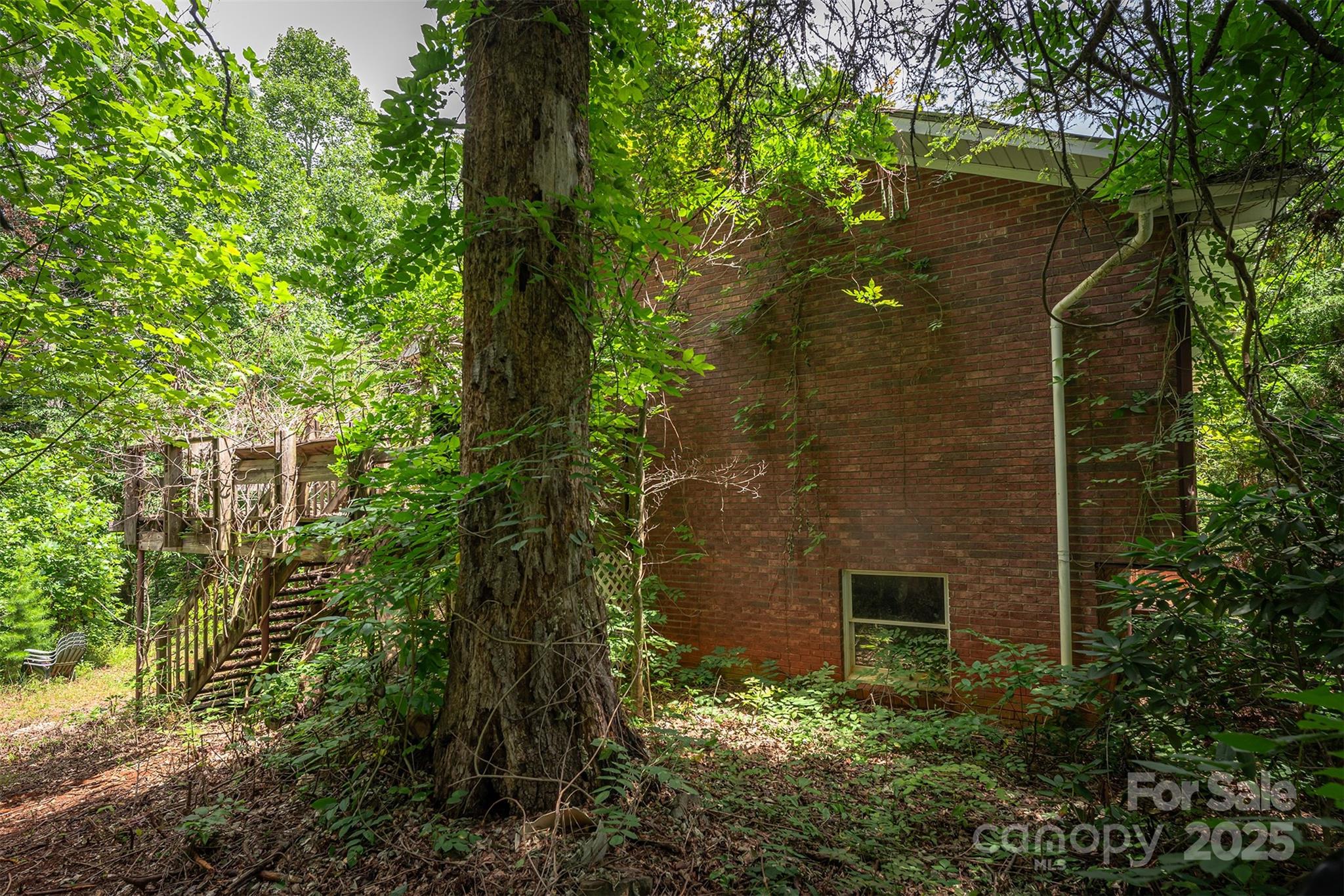 1801 Parker Padgett Road Old Fort, NC 28762 - Photo 34 of 48