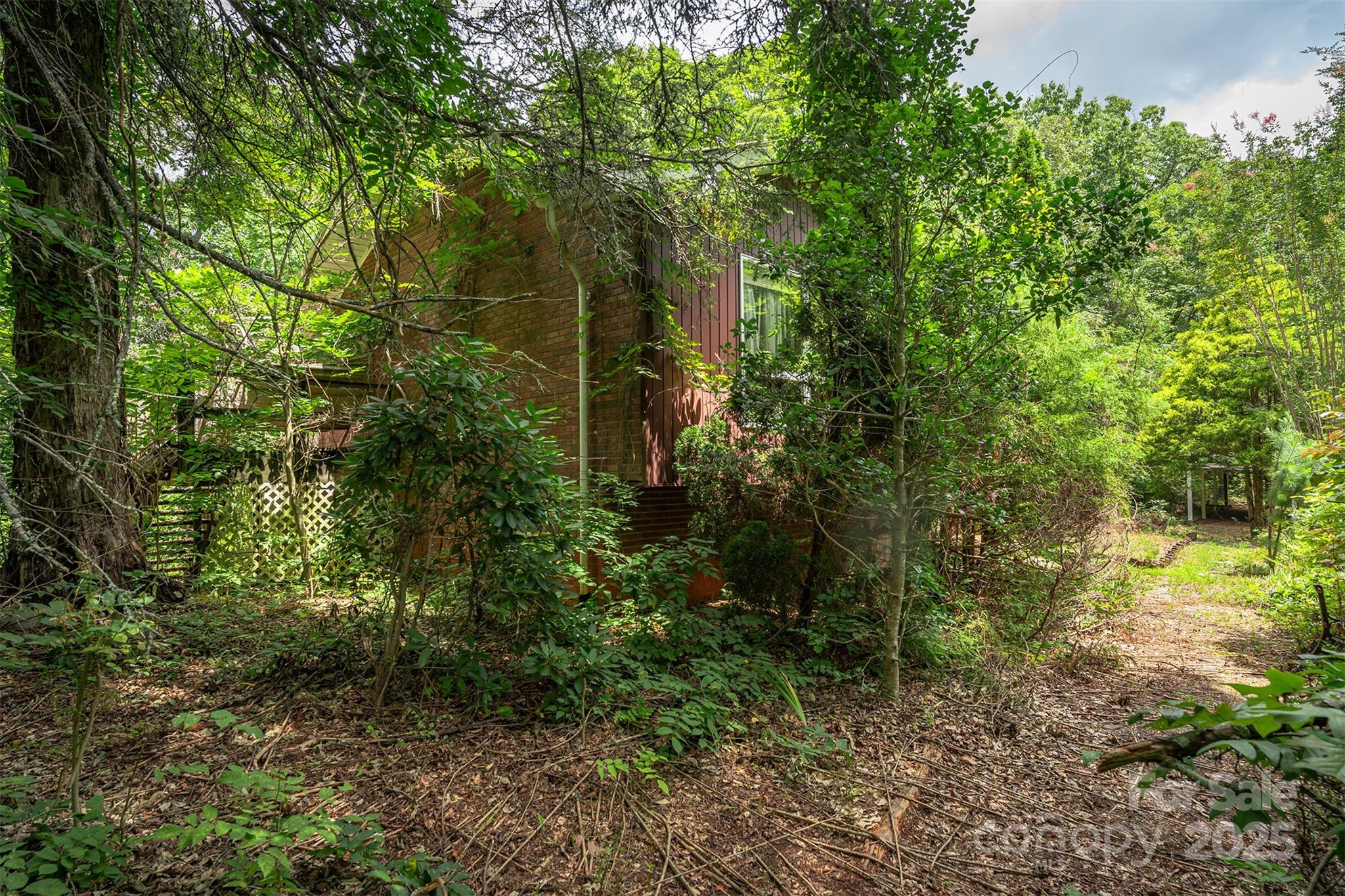 1801 Parker Padgett Road Old Fort, NC 28762 - Photo 35 of 48