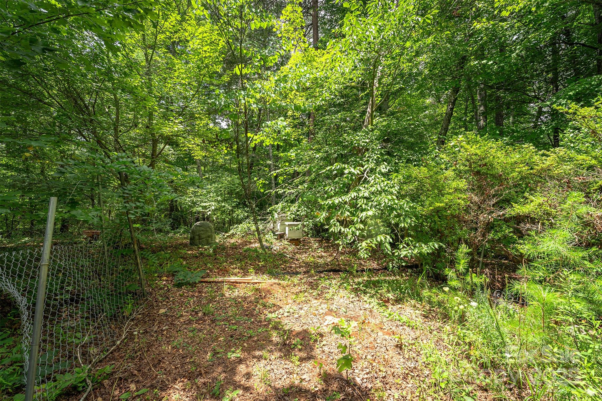 1801 Parker Padgett Road Old Fort, NC 28762 - Photo 36 of 48