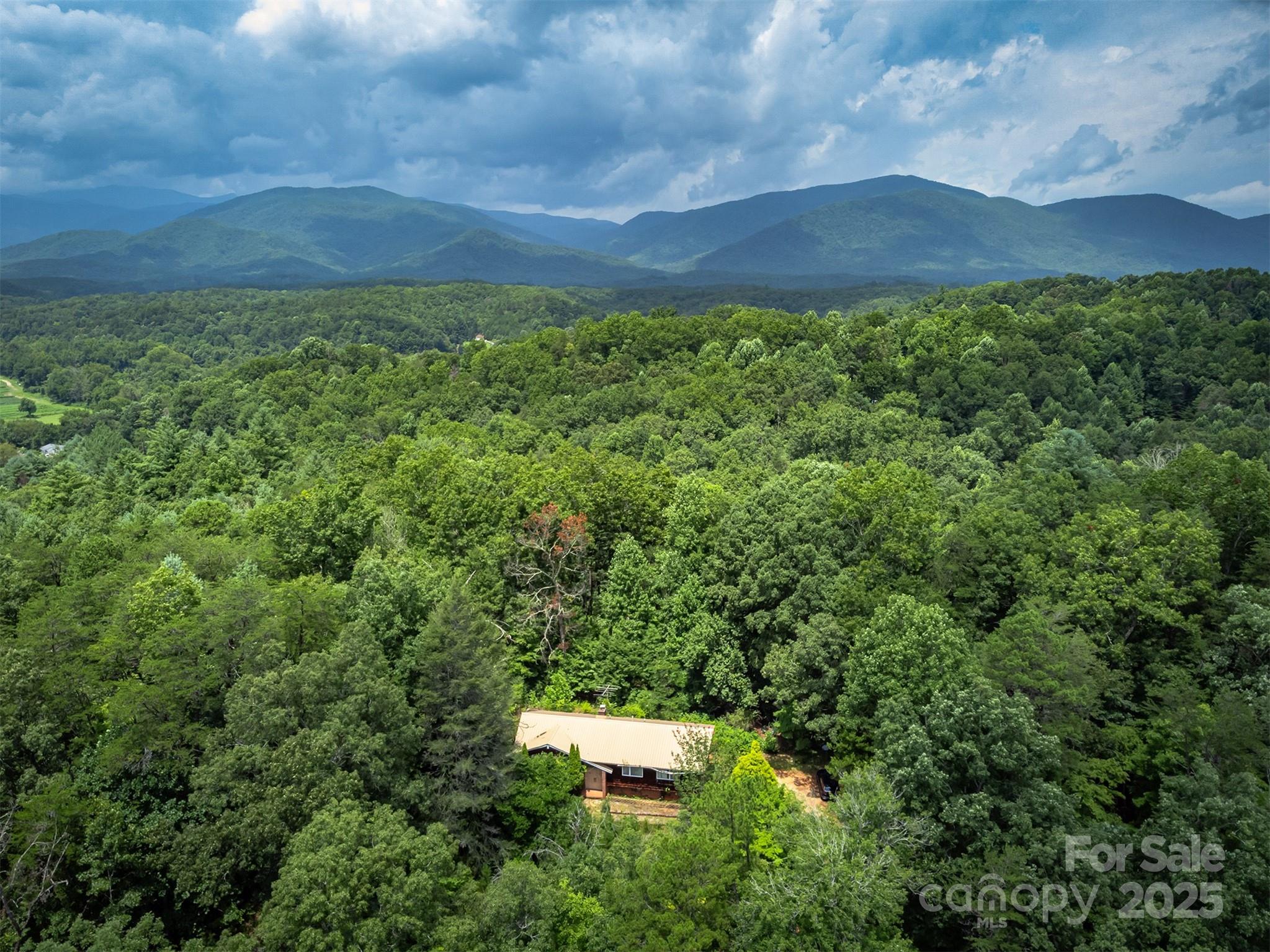 1801 Parker Padgett Road Old Fort, NC 28762 - Photo 47 of 48