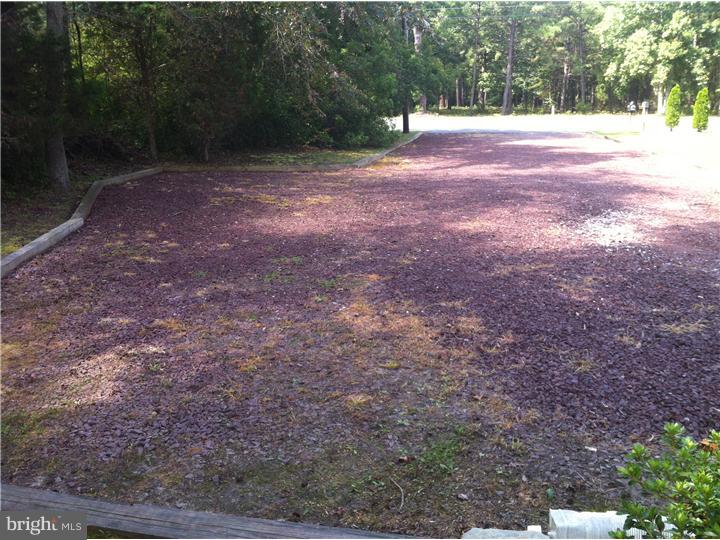 956 Tuckahoe Road Newfield, NJ 08344 - Photo 5 of 25 Driveway