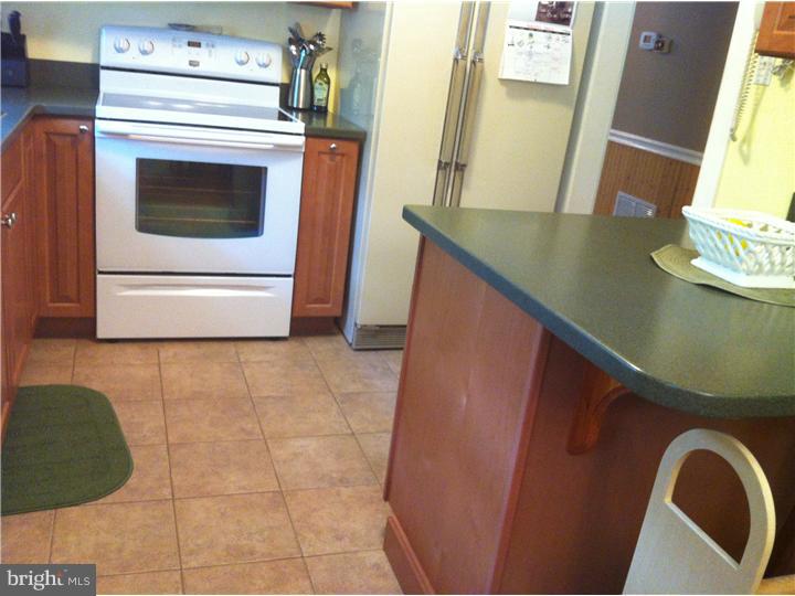 956 Tuckahoe Road Newfield, NJ 08344 - Photo 7 of 25 Kitchen