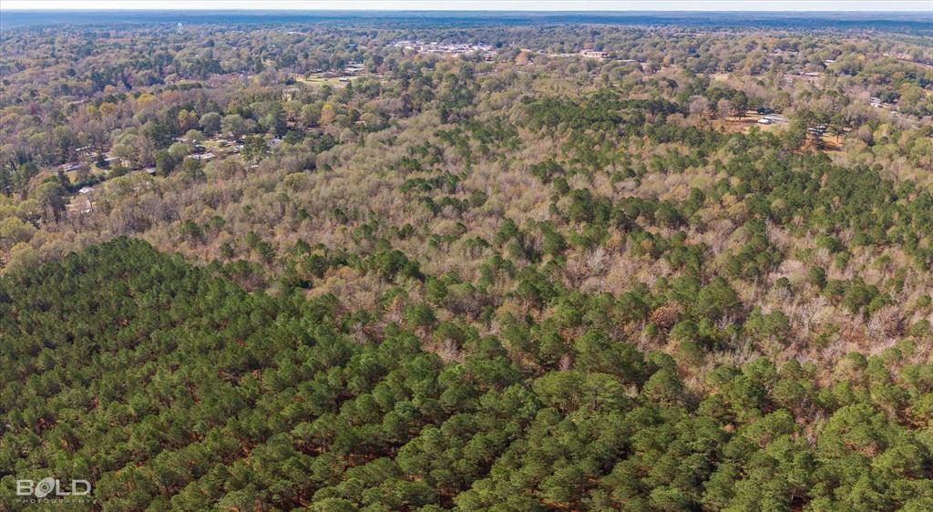 0 Camelia Street Vivian, LA 71082 - Photo 6 of 13 Aerial view of property's location with a heavily wooded area
