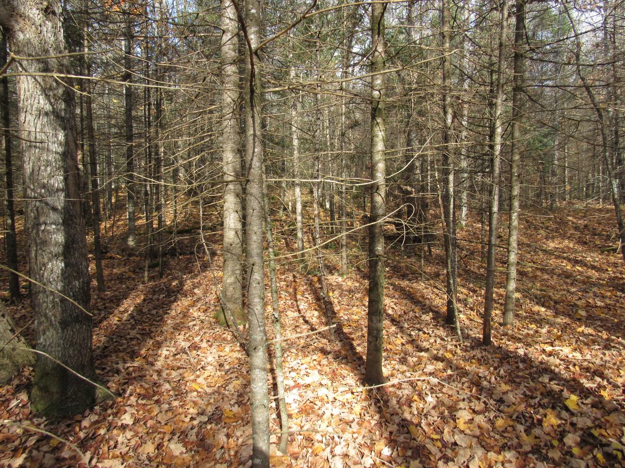 On Sheltrow Road, Unit LOT 4 Crystal Falls, MI 49920 - Photo 7 of 16 Gallery Image 7