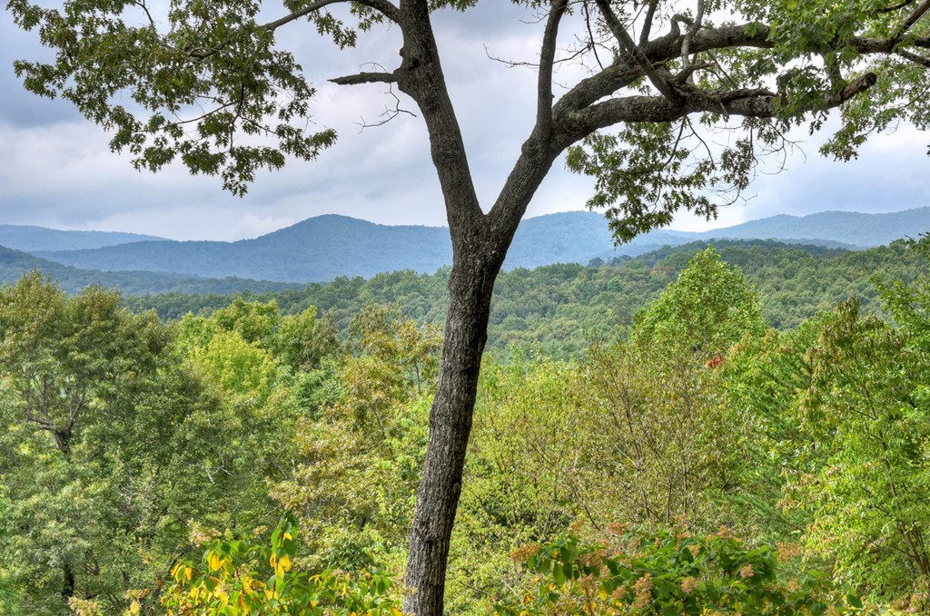344 Cascade Lane Blue Ridge, GA 30513 - Photo 22 of 62 Gallery Image 22