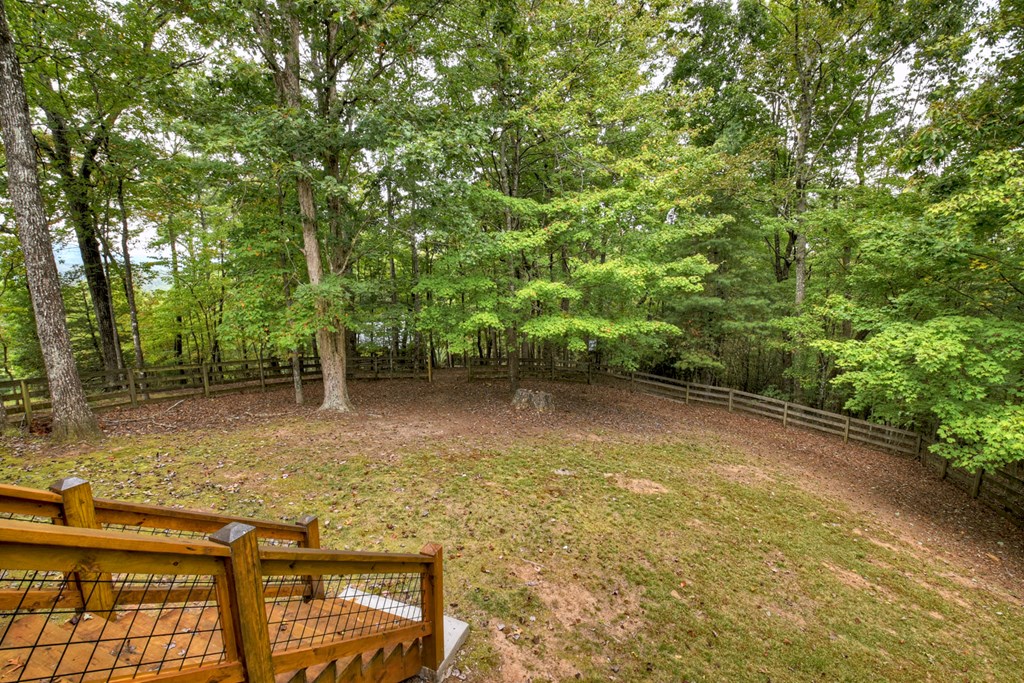 344 Cascade Lane Blue Ridge, GA 30513 - Photo 23 of 62 Gallery Image 23