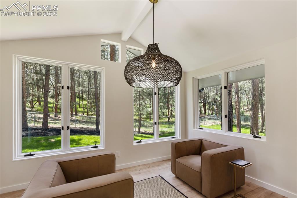 1320 Spring Valley Drive Colorado Springs, CO 80921 - Photo 17 of 46 a living room with furniture and a window